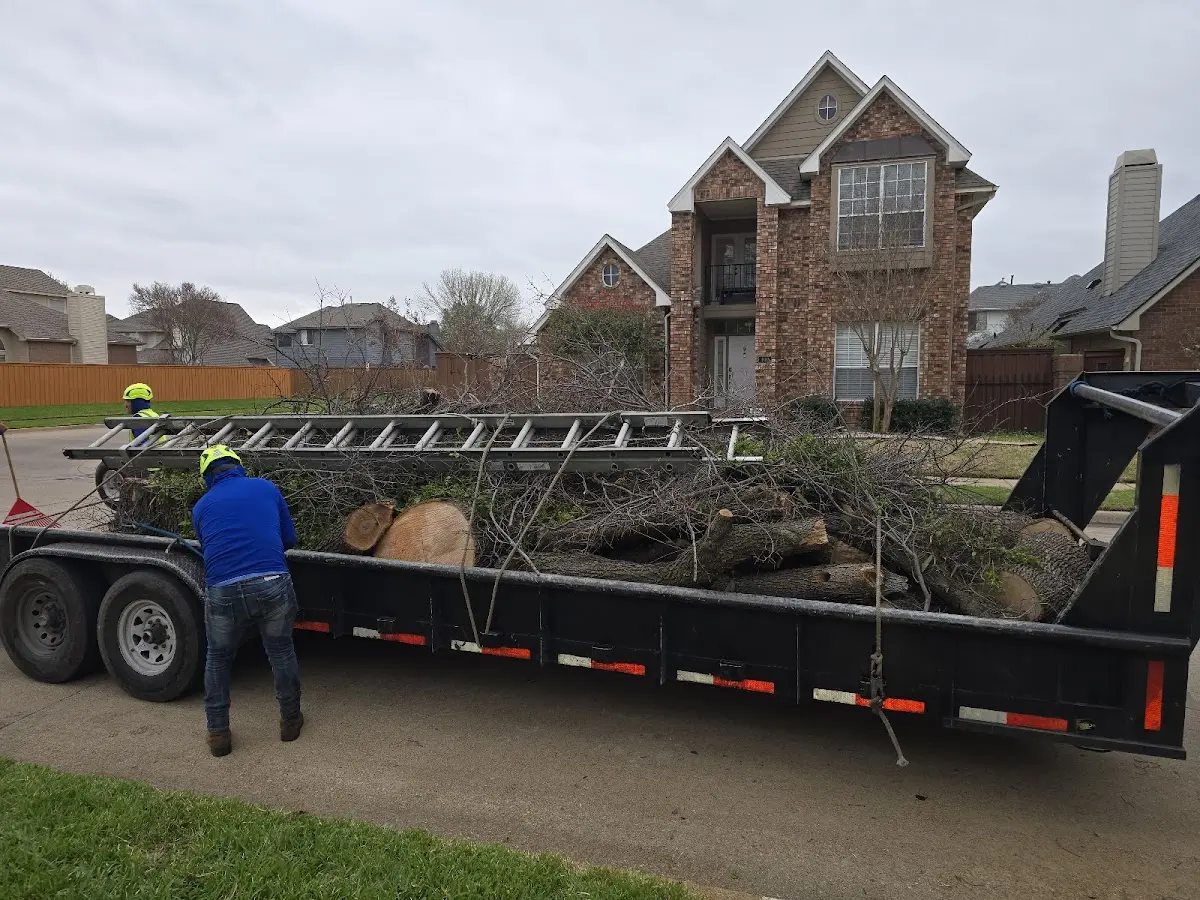Expert Tree Fertilization with proper safety equipment in North Middletown